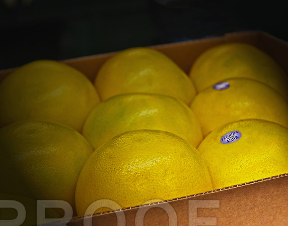 Grapefruit 017