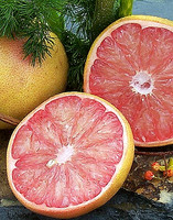 Citrus sliced 2