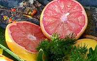 Citrus sliced 3