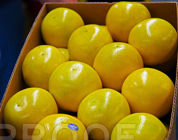 Grapefruit Carton 038