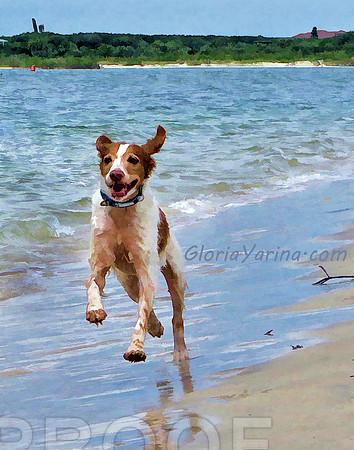 Sonny on beach, Brittany