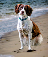 Jen on beach, Brittany