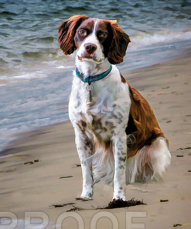 Jen on beach, Brittany