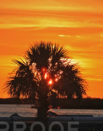 homosassa 9411