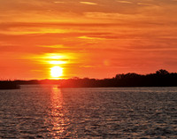 homosassa 9422