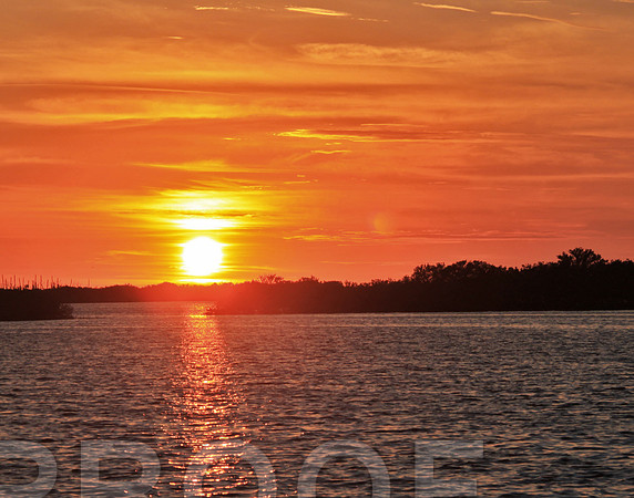 homosassa 9422