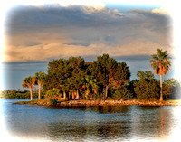 homosassa bsm iv 353