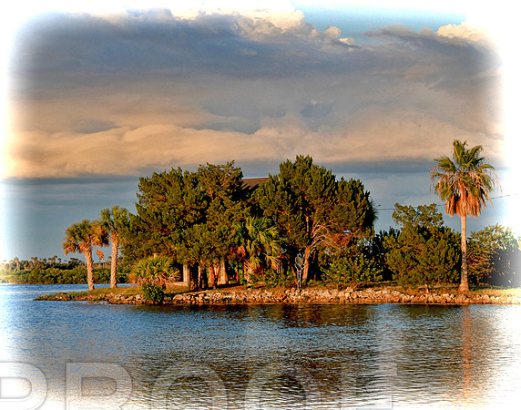homosassa bsm iv 353