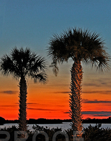 homosassa wc 9452
