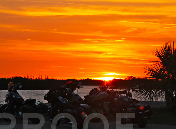 homosassa op II 9435