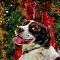christmas and Jen