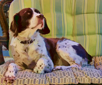 claiming the love seat jen