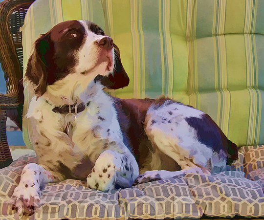 claiming the love seat jen