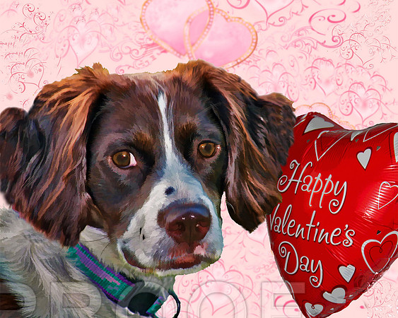 Happy V day w hearts