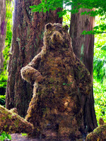 bg g9 970 Bear Topiary