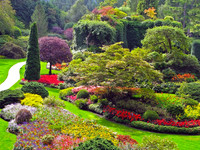 bg g9 967 View of the Garden