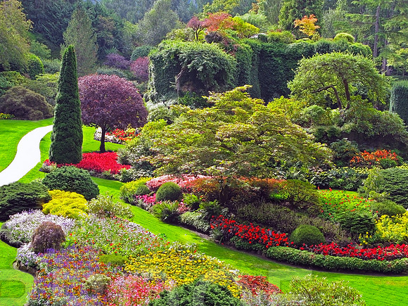 bg g9 967 View of the Garden