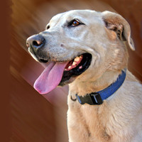 Lab in Profile 834