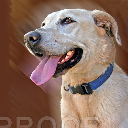 Lab in Profile 834
