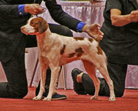 Brittany 1317