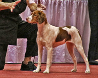 Brittany 1320