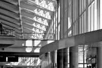Lines, Black and White