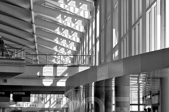 Lines, Black and White
