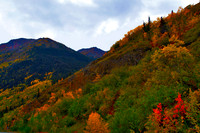 skagway 936