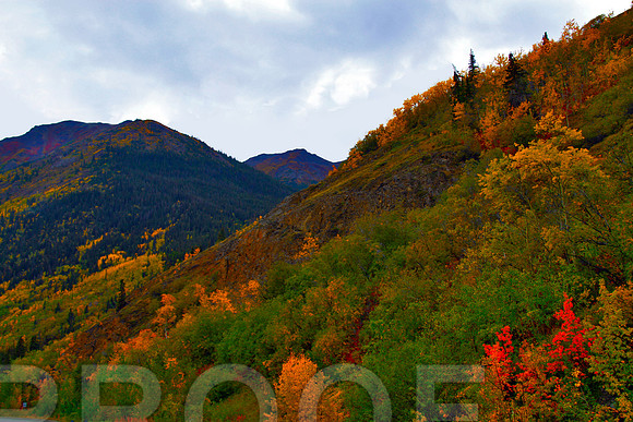 skagway 936
