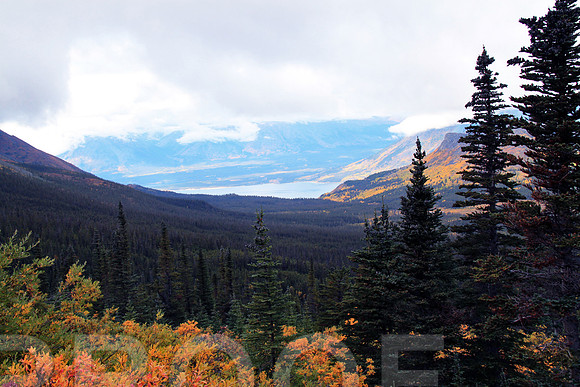 skagway 1006