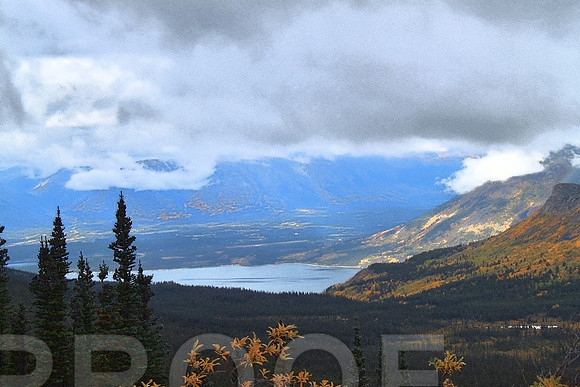 skagway 988