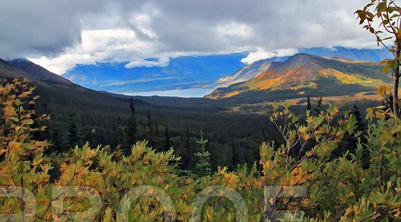 skagway 1002