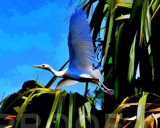 bird stylized b 2369 sml