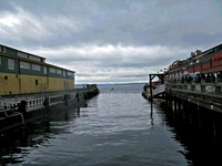seattle 146