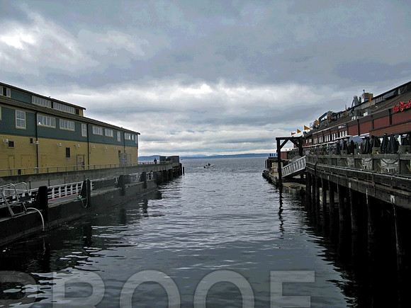 seattle 146