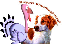 happy thanksgiving