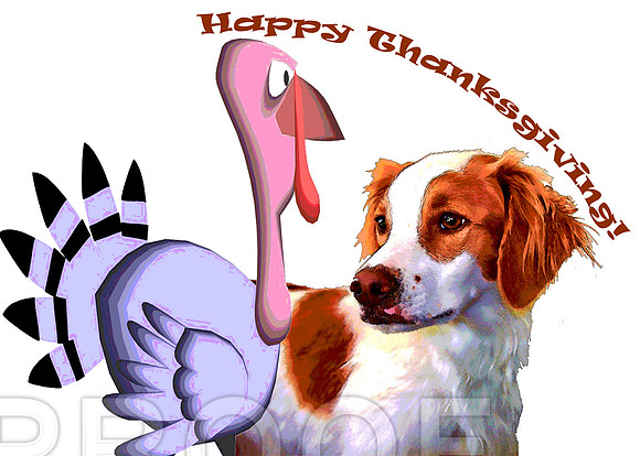 happy thanksgiving