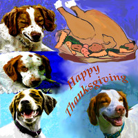 happy thanksgiving