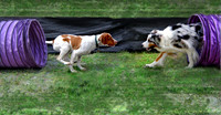 Agility Opps
