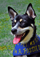 Happy to be Adopted