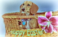 Happy Easter