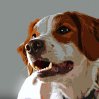 Lady Portrait  12 x 12 CO 026