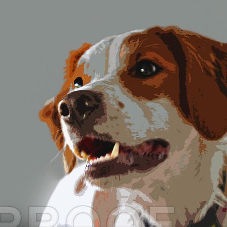 Lady Portrait  12 x 12 CO 026