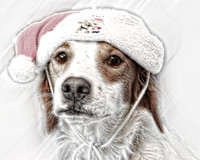 Snow storm Lady  2735