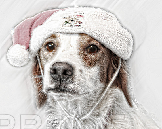Snow storm Lady  2735