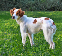 Lady 2012-112