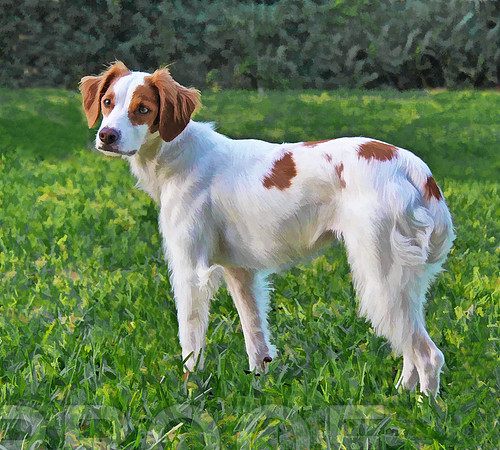 Lady 2012-112