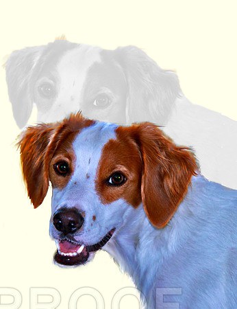 LADY 002 w shadow