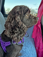 Oakley g 1 car ride