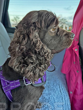 Oakley g 1 car ride
